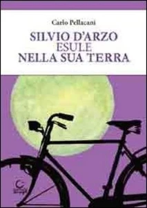 SILVIO D'ARZO ESULE NELLA SUA TERRA consulta librieprogetti CARLO PELLACANI libr - Imagen 1 de 1