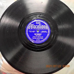 SHELLY LEE ALLEY CATS VOCALION 04793 She Wouldn't Nobody Can Truck Like Me - Picture 1 of 2