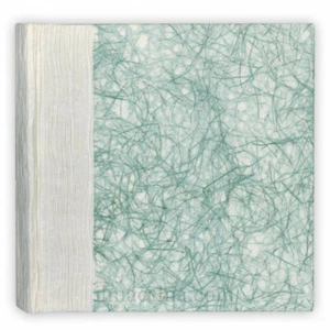 Album Fotografico Tradizionale 24x24 20 fogli Portafoto Seul Blue - Bild 1 von 1