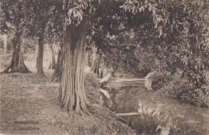 AK Mombobach i Usambara Deutsch-Ost-Afrika Kolonien ungel 1900 Afrika - Bild 1 von 1