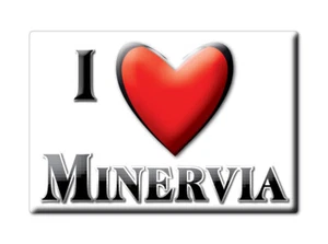 Minervia Kühlschrankmagnet Name Geschenkidee Geburtstag Abschluss Geburt - Bild 1 von 11