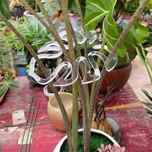 3Pcs Plant Climbing Frame Plant Support Trellis Flower Vine Climbing Stand Rack - Picture 1 of 17