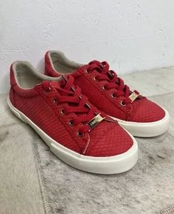 Sneakers da ginnastica Kurt Geiger KG CARVELA ""Leggere"" motivo Croce Rossa taglia 36? 3 - Foto 1 di 10