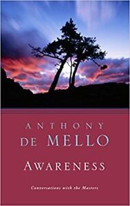 Awareness: The Perils and Opportunities of Reality PAPERBACK 1992 by Anthony ...