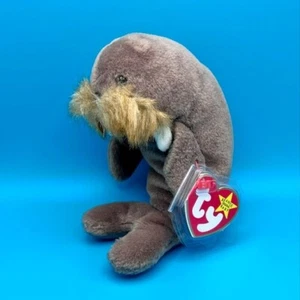 TY Beanie Baby - JOLLY the Walrus (7 inch) - Picture 1 of 1