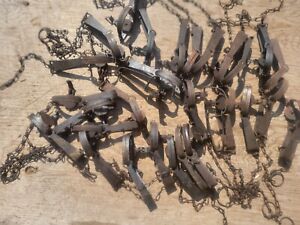 Lot of (30) Mostly Victor No. 1  Long Spring Traps Good Condition Vintage