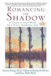 Romancing the Shadow: A Guide to Soul Work for a Vital, Authentic Life - Imagen 1 de 1
