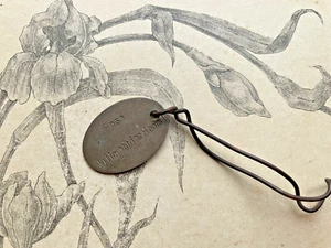 Ancienne étiquette en métal pour Plante Fleurs Rosa willmottioe Hems - Imagen 1 de 2