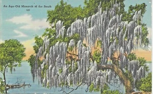 Un antiguo monarca del sur -- POSTAL - Imagen 1 de 2