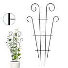 Plant Climbing Support Frame for Roses Adds Structure to Your Garden Beds