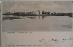Cartolina Mantova panorama della città - Foto 1 di 2