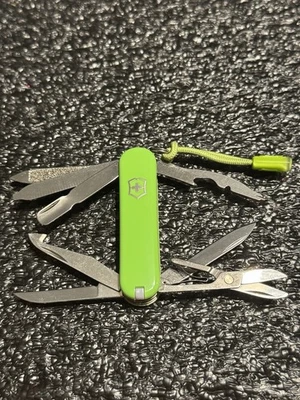 Victorinox MiniChamp Personalizado con Aguacate Verde 58mm Escalas Intercambio y Cordón Foto 1 de 4