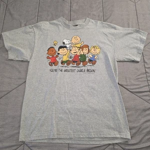 Vintage Peanuts YOU’RE THE GREATEST CHARLIE BROWN T-Shirt Mens XL Gray - Picture 1 of 9
