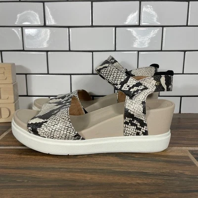 Sandália anabela Dr Scholls Sammy feminina tamanho 8 sapatos multicoloridos estampa de cobra tiras - Imagem 1 de 4