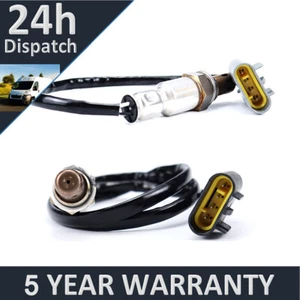 Se adapta a Ypsilon 2011- 1.2 Purevue frontal + trasero 2 sensores de oxígeno lambda 4 cables - Imagen 1 de 2