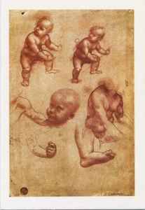 Leonardo Da Vinci•Study of Baby•Drawings•Renaissance Art POSTCARD - Picture 1 of 1