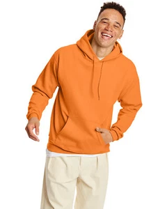 Hanes Unisex Ecosmart Pullover Hooded Sweatshirt - P170 - Picture 1 of 44