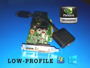 HP Compaq Pro SFF 4000 4300 6000 6200 6300 Video Graphics Card + VGA Adapter - Picture 1 of 1