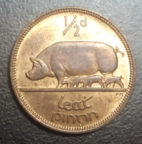 1964 IRELAND 1/2 PENNY KM 10 SOW & PIGLETS VINTAGE OLD IRISH COPPER XF+ COIN Cover