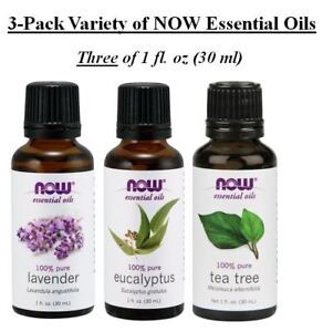 3-Pack Variety of NOW Essential Oils: Lavender, Eucalyptus,Tea Tree 