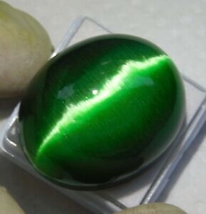 106.20 Ct Natural Chrysoberyl Green Cats Eye Oval Cabochon Cut Loose Gemstone