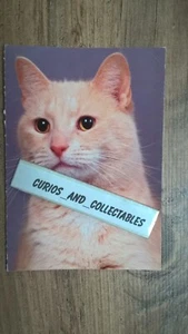 Cat NSAL / PDSA Postcard PC-183U unposted - Picture 1 of 1