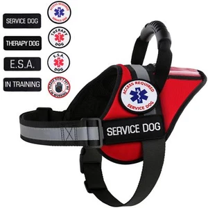 Service Dog - Support Dog - Therapy Dog Harness Vest Patches ALL ACCESS CANINE™ - Picture 1 of 12