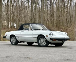 1980 Alfa Romeo CALIFORNIA RUST FREE 48k ORIGINAL MILES 2 Family Owned - Picture 1 of 40
