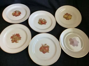 Set of 6 Pickard Hand-Decorated 6" Autumn China Plates w/Storage Case - Picture 1 of 12