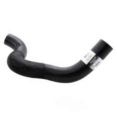 Lower Radiator Hose For 2000-2003 Dodge Dakota 3.9L V6 2001 2002 Dayco 72018 - Image 1 of 4
