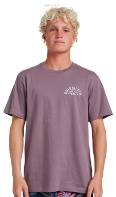 Quiksilver Sunrise Arch Classic SS T-Shirt - Vintage Violet - New - Image 1 of 2