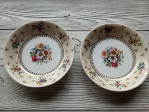 Set 2 ciotole frutta porcellana Raynaud & Co floreale Limoges Francia #2 - Foto 1 di 11