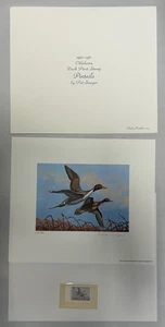 Vintage Pat Sawyer Signed Duck Pintails Waterfowl Print And Stamp (A8) - Picture 1 of 12