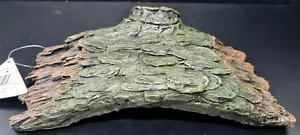 Floating Turtle Dock Pier Basking Terrace Island Platform 25 x 14.5 x 7cm - Picture 1 of 4