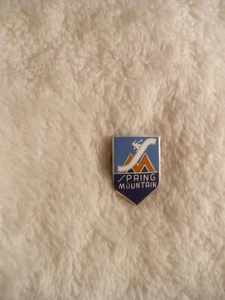 OE-VINTAGE SPRING MOUNTAIN SKI (ENAMEL) PIN BACK PIN #26042 (REAL NICE!!!!! - Picture 1 of 6