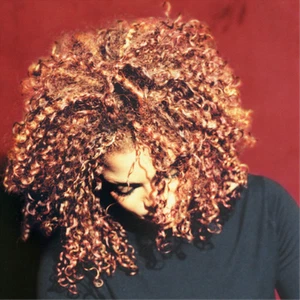 Janet Jackson The Velvet Rope (Vinyl) 12" Album - Picture 1 of 1