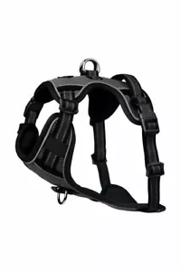 LeMieux Winchester Mesh Dog Harness - Black - Large - Picture 1 of 2