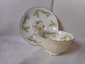 Juego de platillos taza Royal Grafton EVESHAM porcelana hueso fino amarillo azul verde flores - Imagen 1 de 10