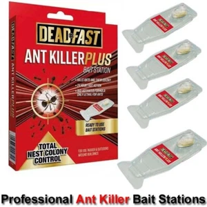 Professional Ant Killer Bait Stations - Effective Ant Colony Pest Control (4g) - Picture 1 of 8