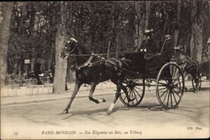 Ak Paris I., Paris Mondain, Nos Elegantes au Bois, un Tilbury - 3952357
