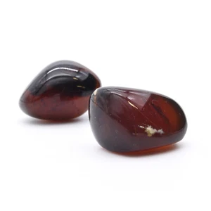 Amber Polished - Picture 1 of 5