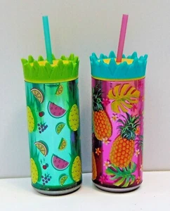 2 botellas de bebida aisladas de doble pared de 16 oz - fruta de verano - Imagen 1 de 1