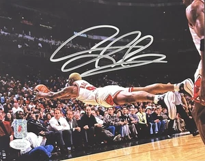 Dennis Rodman Signed Autographed 8x10 Photo JSA Authentic Chicago Bulls 4 - Picture 1 of 3