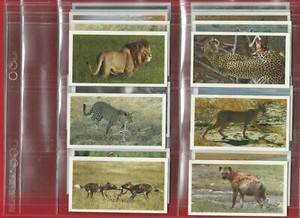 PLAYERS GRANDEE - AFRICAN WILDLIFE - 1990 CIGARETTE CARD SET (OS01)