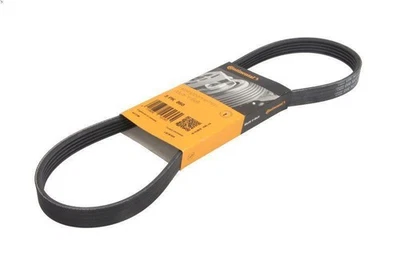 Cinghia poly-V CONTITECH 5PK860 per MAZDA MX-3 (EC) 1.8 1992-1994 Foto 1 de 4