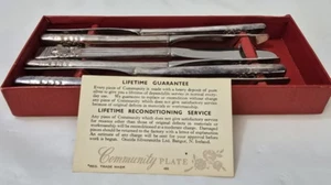 Community Plate Dessert Cutlery x6 Hampton Court EPNS Boxed (NTH) - Picture 1 of 12