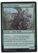 MTG Throne of Eldraine Common Foil Garenbrig Paladin, M-NM NBP