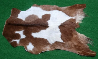 Alfombra de piel de taxidermia occidental CABRA patrón natural piel de cabra cuero de cabra SA-1058 Foto 1 de 3
