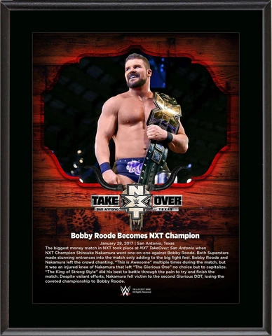 Robert Roode World Wrestling Entertainment 10.5" x 13" NXT Cover