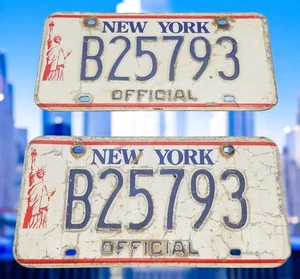 New York Liberty License Plate Tag # B25793 1986-2000 Matching Pair "OFFICIAL" - Picture 1 of 1